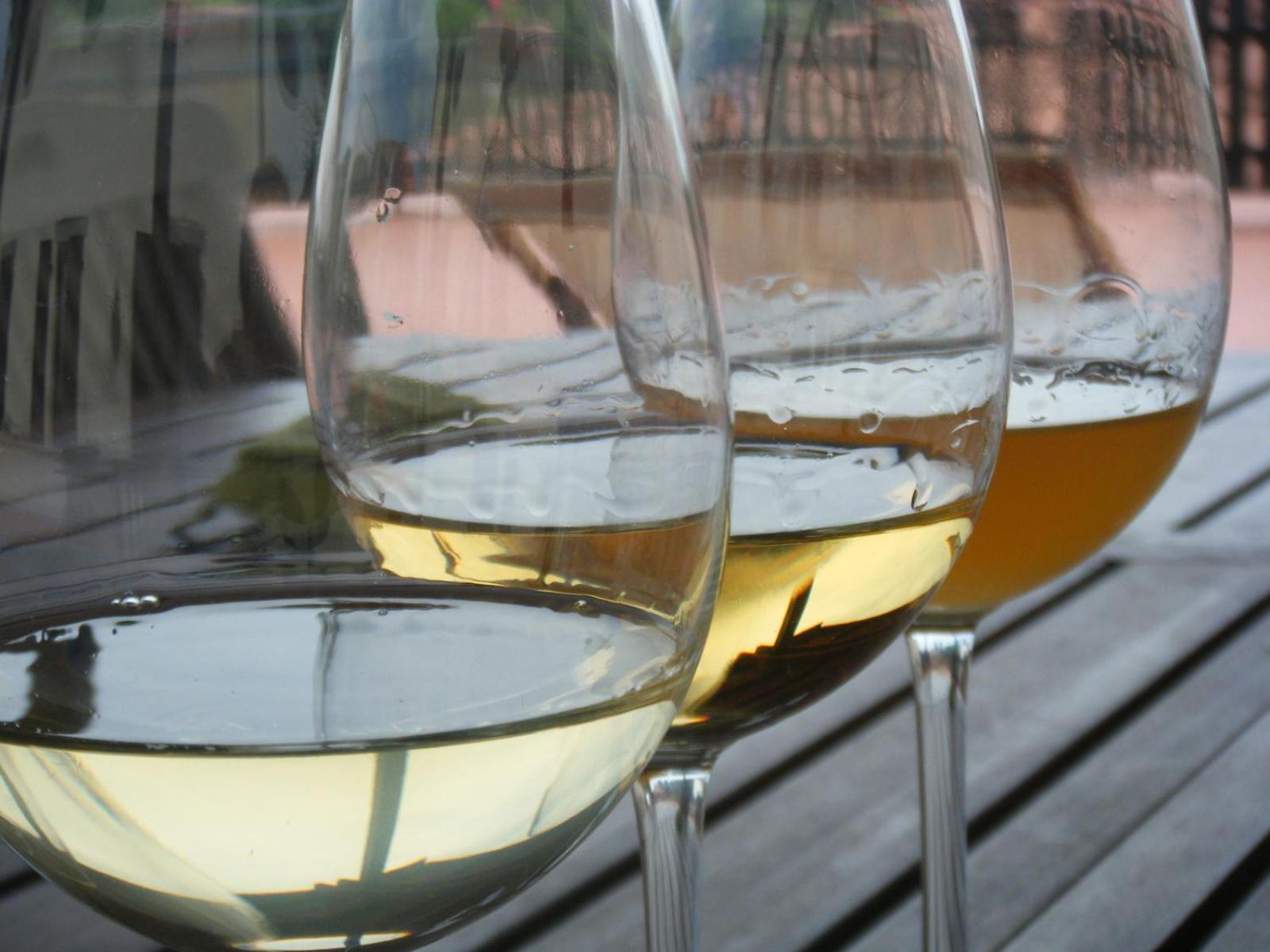 Agriturismo Grillo Iole Winery Prepotto  Екстериор снимка