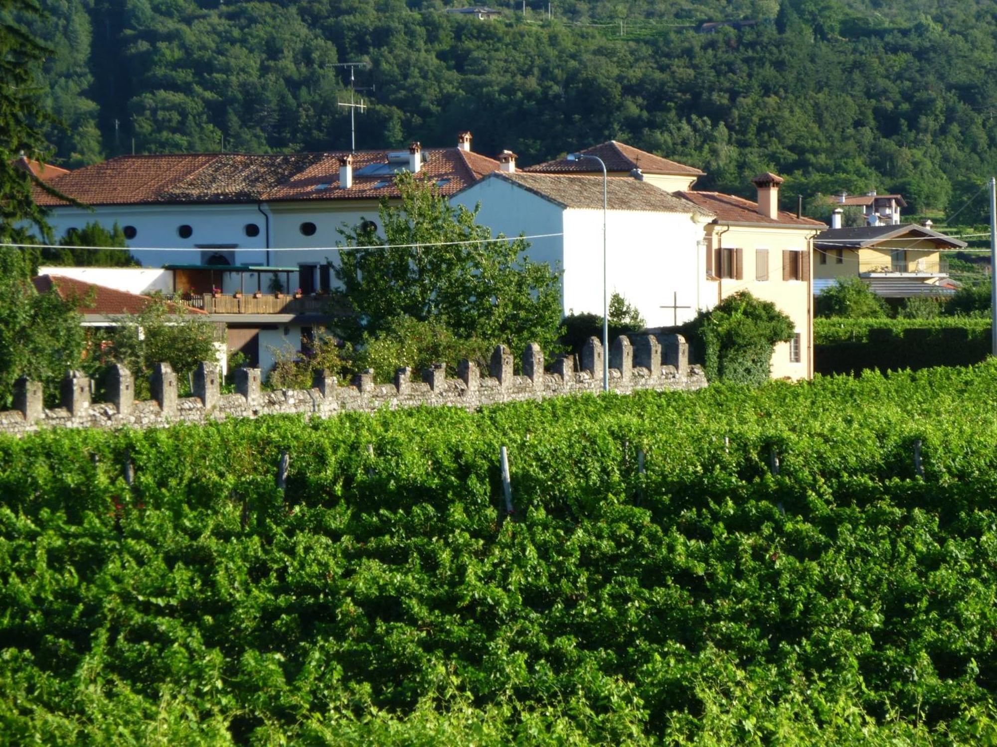 Agriturismo Grillo Iole Winery Prepotto  Екстериор снимка