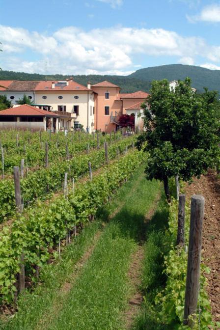 Agriturismo Grillo Iole Winery Prepotto  Екстериор снимка